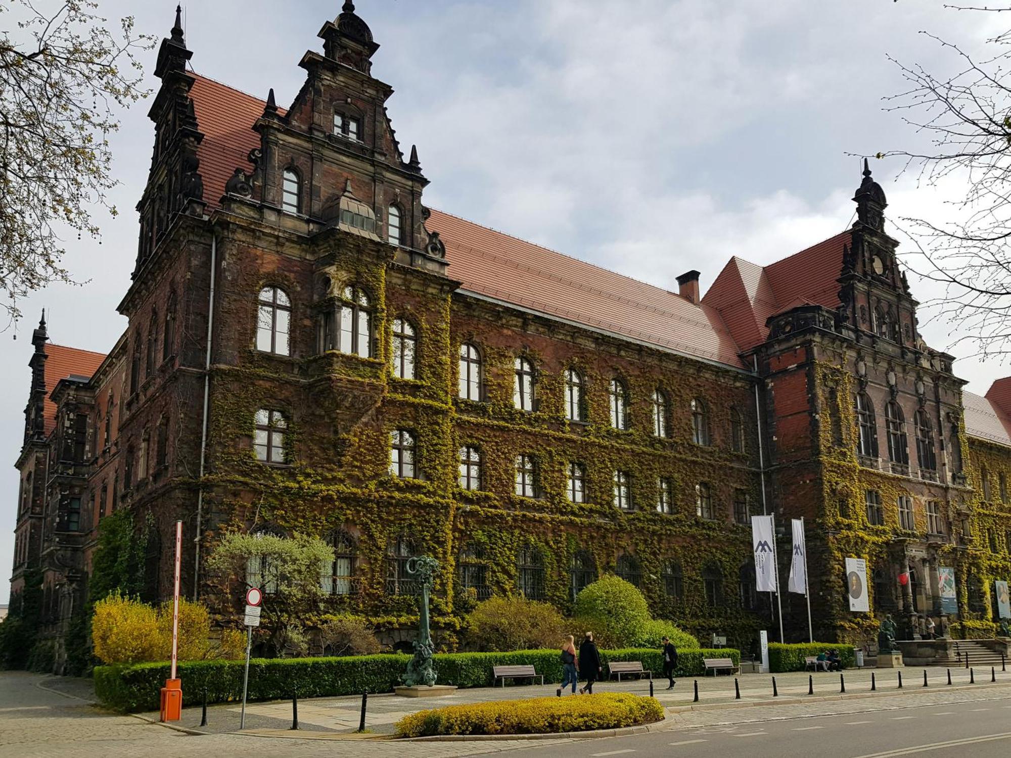 Camden - Old Town Wrocław